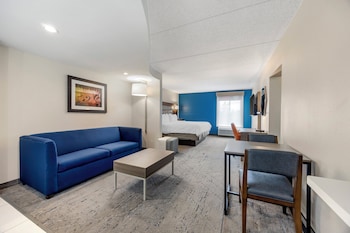 Suite, 1 King Bed with Sofa bed