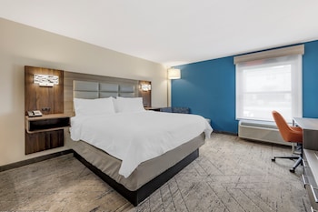 Suite, 1 King Bed with Sofa bed