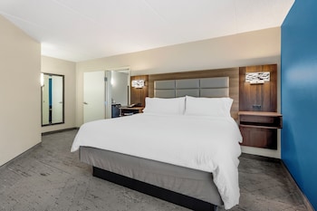 Suite, 1 King Bed with Sofa bed (1 King Bed, Living Area)