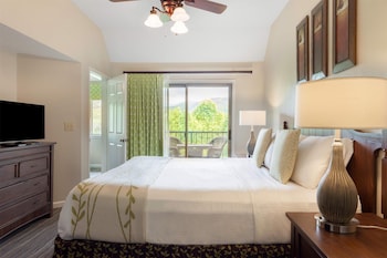 1 BEDROOM 1 KING DLX STE HEARING ACCESSIBLE