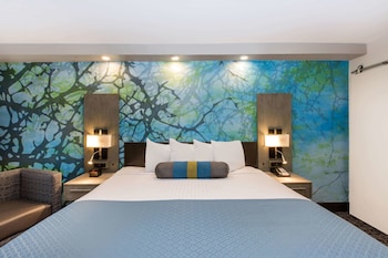 Room, 1 King Bed