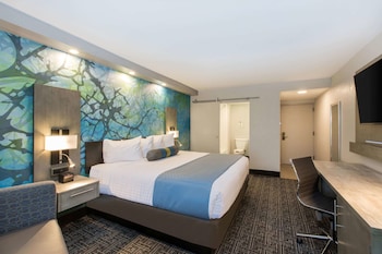 Room, 1 King Bed