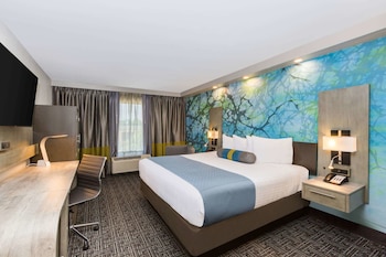Room, 1 King Bed