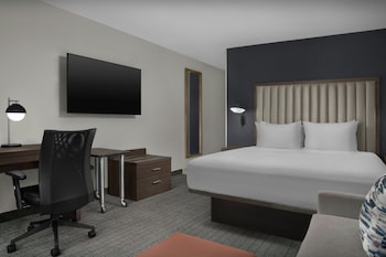 Room, 1 King Bed with Sofa bed, Bathtub (Mobility/Hearing Accessible, Tub)