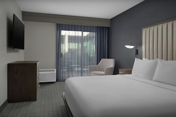 Deluxe Suite, 1 Bedroom (Hearing Accessible)