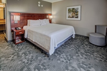 Suite, 1 Bedroom