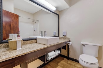 Superior Room, 1 King Bed, Non Smoking