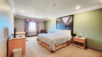 Room, 1 King Bed, Non Smoking