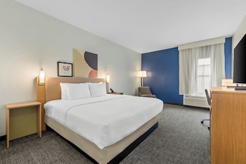 Room, 1 King Bed