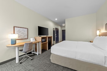 Room, 1 King Bed, Accessible, Bathtub (Mobility & Hearing)