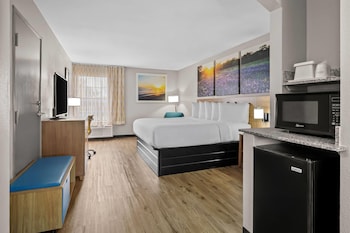 Room, 1 King Bed, Non Smoking