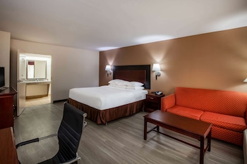 Room, 1 King Bed, Accessible, Non Smoking