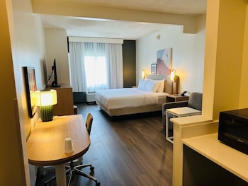 Room, 1 King Bed with Sofa bed