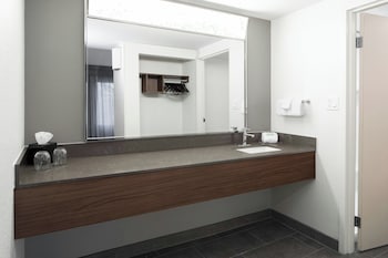 Executive Suite, 1 King Bed with Sofa bed