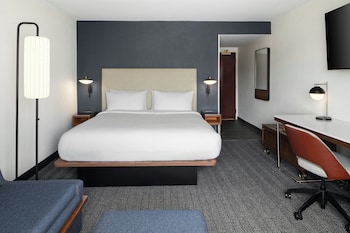 Executive Suite, 1 King Bed with Sofa bed