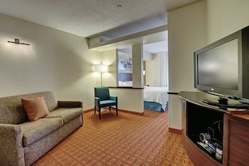 Executive Suite, 1 King Bed with Sofa bed