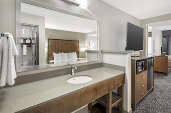 Standard Room, 1 King Bed, Non Smoking, Refrigerator & Microwave (Larger Room;with Sofabed)