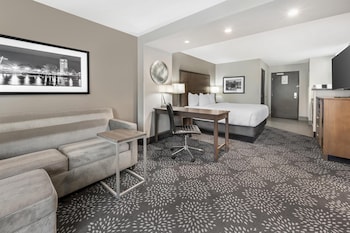 Standard Room, 1 King Bed, Non Smoking, Refrigerator & Microwave (Larger Room;with Sofabed)