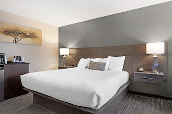 Standard Room, 1 King Bed, Non Smoking, Refrigerator & Microwave