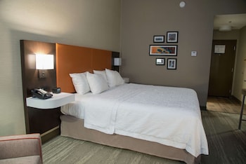 Room, 1 King Bed, Accessible