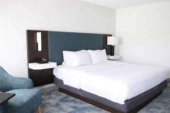 Room, 1 King Bed, Non Smoking (Study)