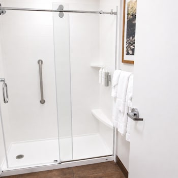 Room, Non Smoking (Shower Only)
