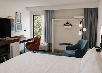 Room, 1 King Bed, Non Smoking (Study)