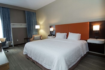 Room, 1 King Bed, Non Smoking (Study)