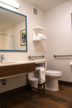 Room, 1 King Bed, Accessible