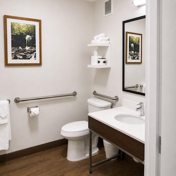 Room, 1 King Bed, Accessible
