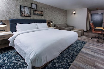 Traditional Room, 1 King Bed
