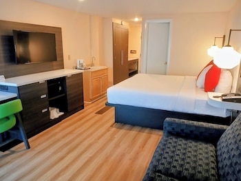 Standard Room, 1 King Bed with Sofa bed, Jetted Tub