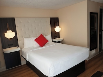 Standard Room, 1 Queen Bed with Sofa bed