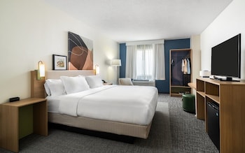 Room, 1 King Bed, Accessible (Mobility & Hearing, Roll-in Shower)