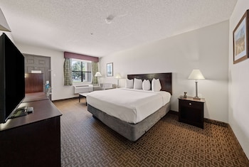 Room, 1 King Bed, Non Smoking