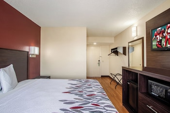 Deluxe Room, 1 Double Bed, Accessible, Non Smoking (Roll-In Shower)