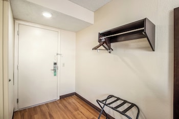 Deluxe Room, 1 Double Bed, Accessible, Non Smoking (Roll-In Shower)
