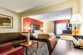 Standard Suite, 1 King Bed, Non Smoking
