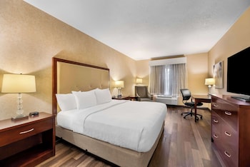 Standard Room, 1 King Bed, Non Smoking, Refrigerator & Microwave (1st Floor;Pet Friendly)
