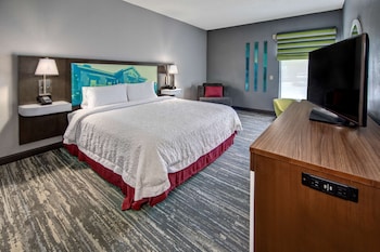 Room, 1 King Bed, Accessible, Non Smoking