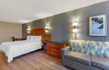Deluxe Studio, 1 King Bed with Sofa bed, Non Smoking, Kitchenette
