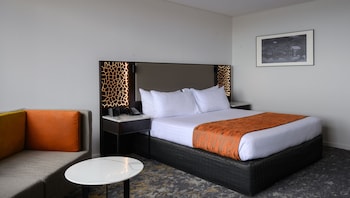 Standard Room, King Bed, Harbor View