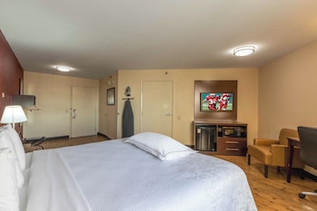 Premium Room, 1 King Bed, Accessible (Upgraded Bedding & Snack, Smoke Free)