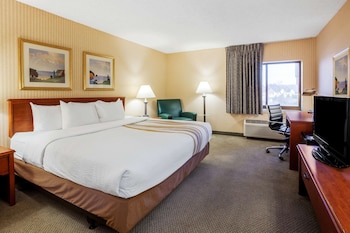 Apartment, 1 King Bed, Non Smoking