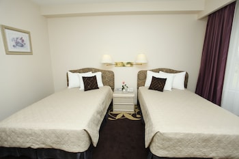 Standard Twin Room with shower