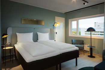 Room, 1 King Bed