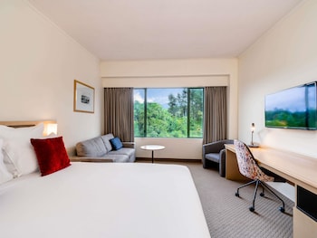 Room, 1 King Bed, Accessible, City View