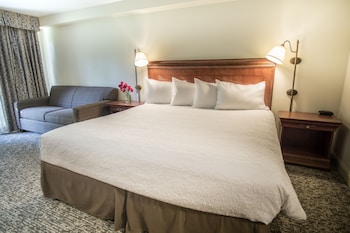 Deluxe Room, Fireplace, Mountain View