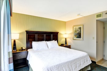 Suite, 1 King Bed, Accessible, Non Smoking