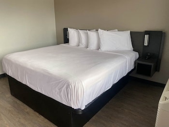 Standard Room, 1 Double Bed, Non Smoking